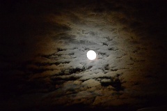 fullmoon 013